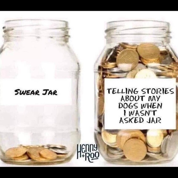 Meet your Posher- Thebarkingcloset - Picture 1 of 1